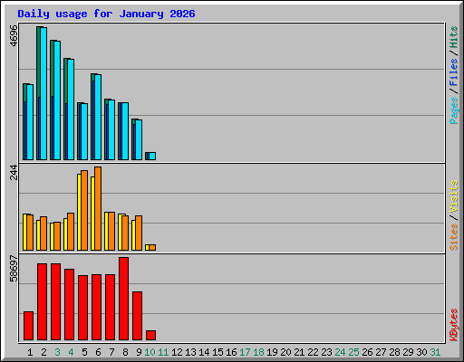 Daily usage for January 2026