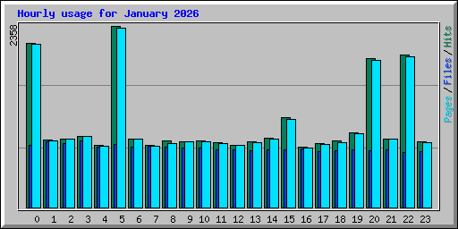 Hourly usage for January 2026