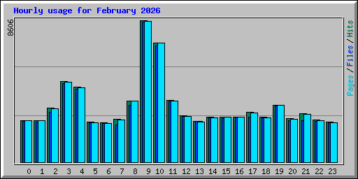 Hourly usage for February 2026