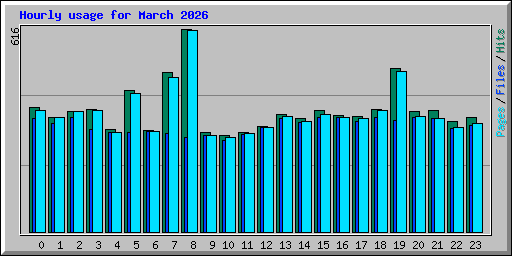 Hourly usage for March 2026