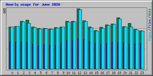 Hourly usage for June 2026