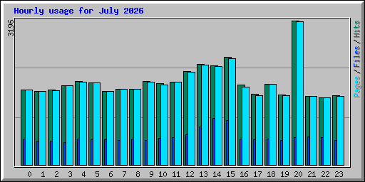Hourly usage for July 2026