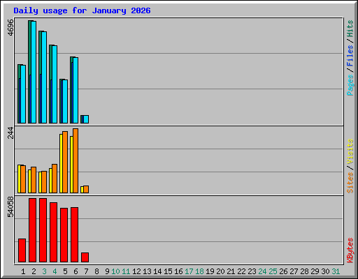 Daily usage for January 2026