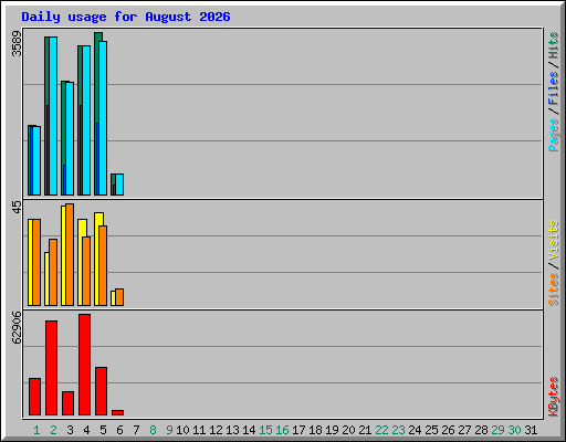 Daily usage for August 2026
