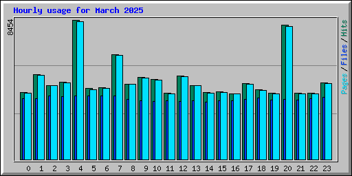 Hourly usage for March 2025