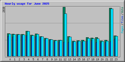 Hourly usage for June 2025