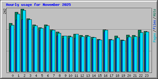 Hourly usage for November 2025