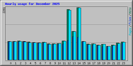 Hourly usage for December 2025